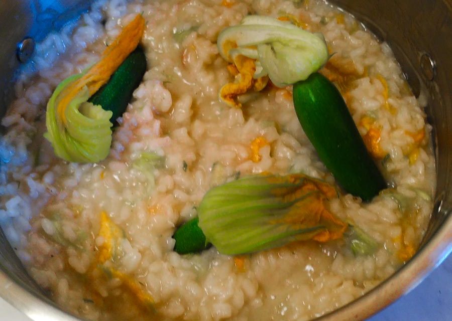 Risotto V2 fleurs de courgette